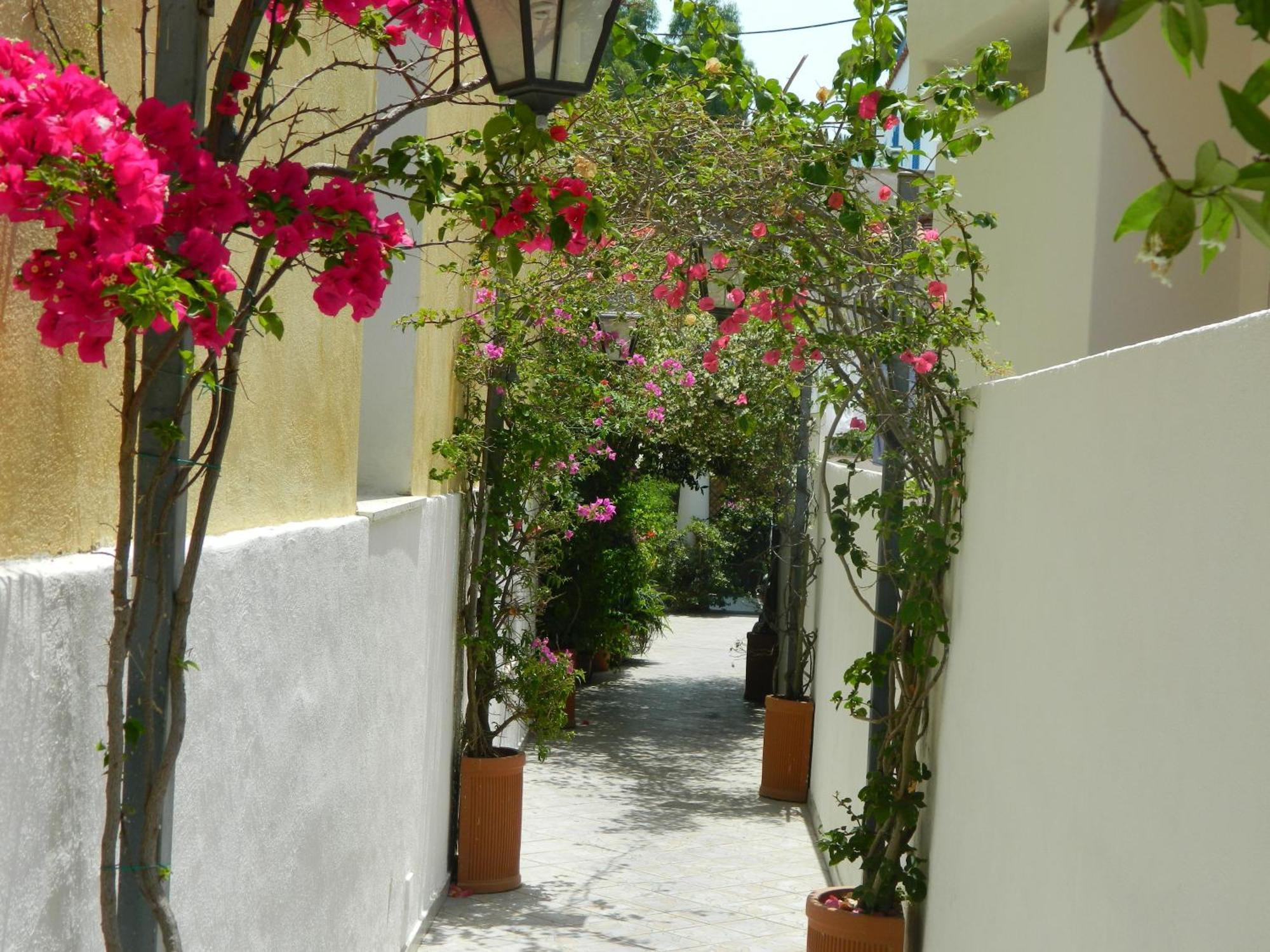 Hotel Villa Hermosa Искья Экстерьер фото